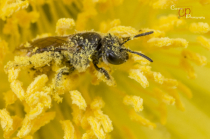January 2020 Photo Contest 2nd Place Prize Winner