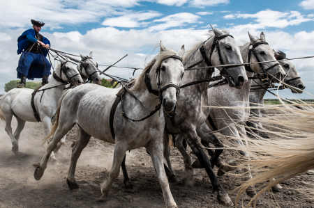 Horsemen of the Puszta