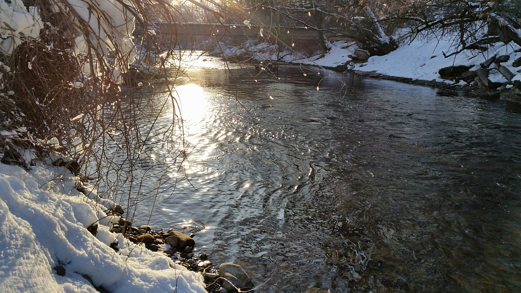 Winter sunset! A moment frozen in time. 