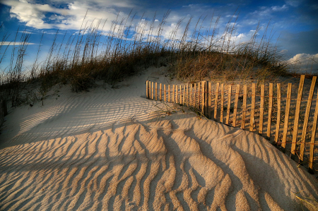 Dune at the Golden Hour