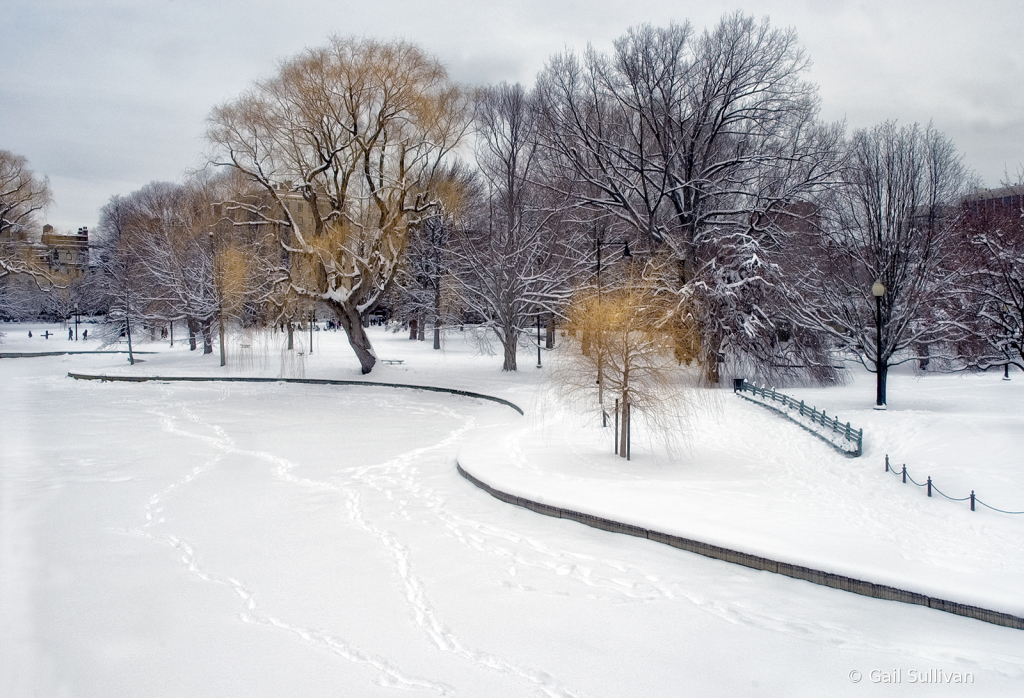 Public Garden in Winter