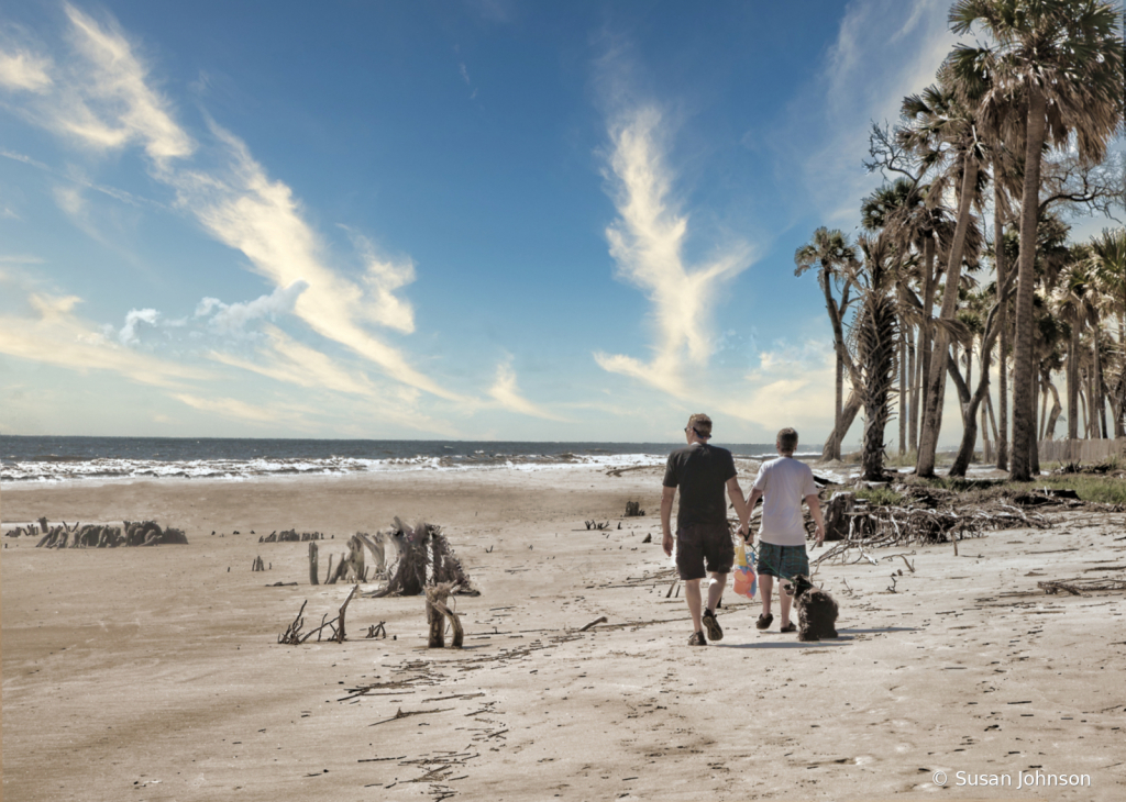 Hunting Island Stroll - ID: 15786920 © Susan Johnson