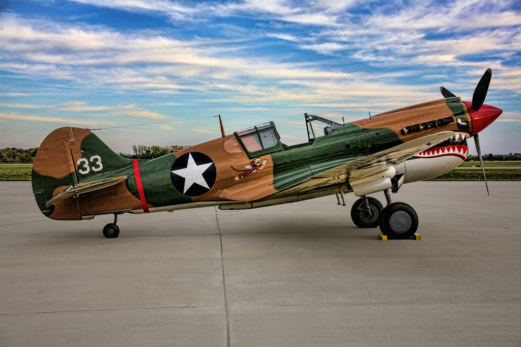 P-40 - ID: 15787342 © Timlyn W. Vaughan