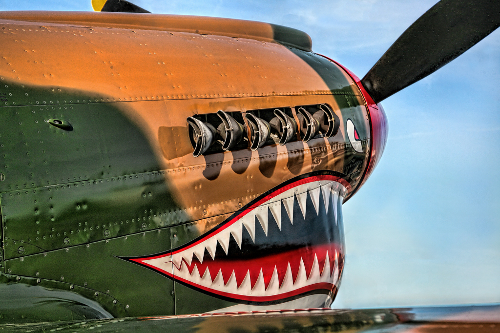 P-40 III - ID: 15787349 © Timlyn W. Vaughan