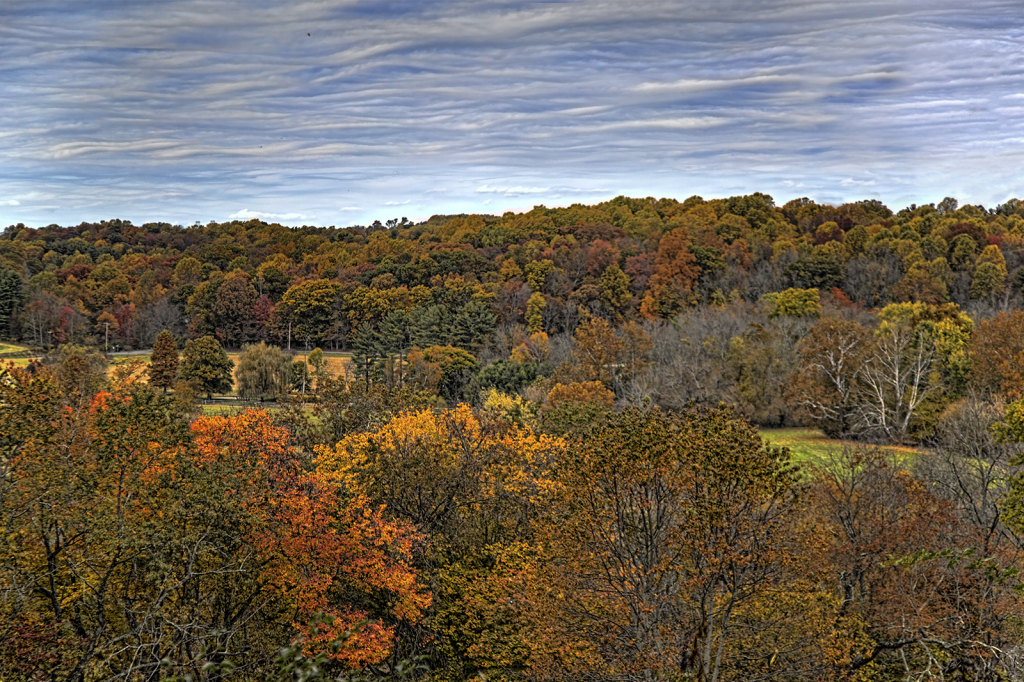 Brandywine Pallet