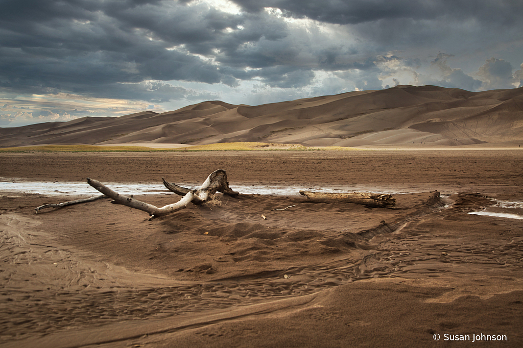 Great Sand Dunes National Park - ID: 15787372 © Susan Johnson