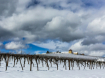 Snow in the Vinya...