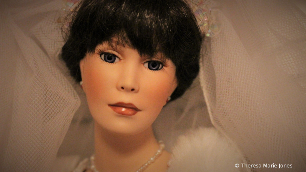 Bride Doll - ID: 15787334 © Theresa Marie Jones