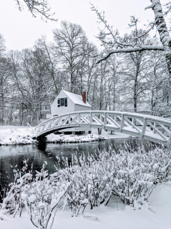 Beauty of Snow