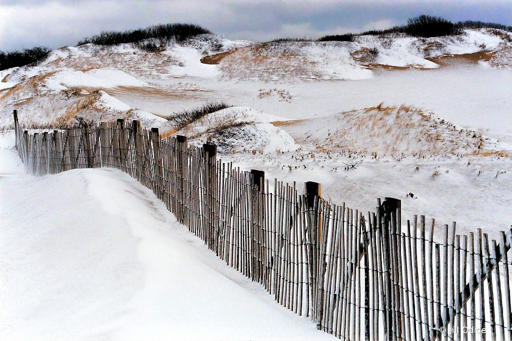 Herring Cove Snow Fence