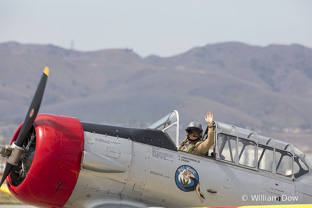 _W5A7598 - ID: 15787885 © William Dow