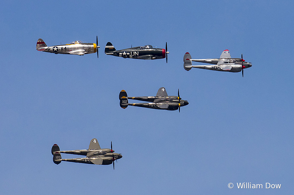 _W5A7604 - ID: 15787886 © William Dow