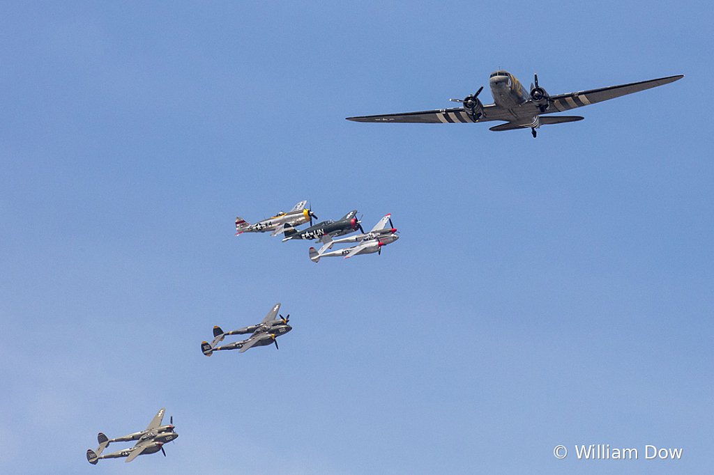 _W5A7606 - ID: 15787887 © William Dow