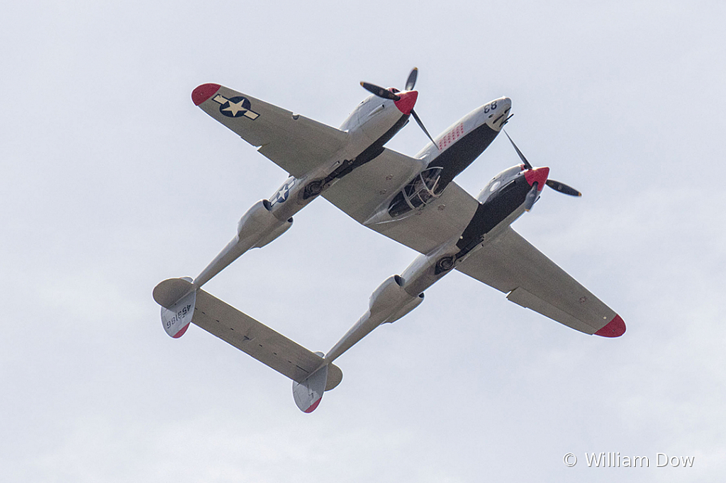 _W5A7767 - ID: 15787889 © William Dow