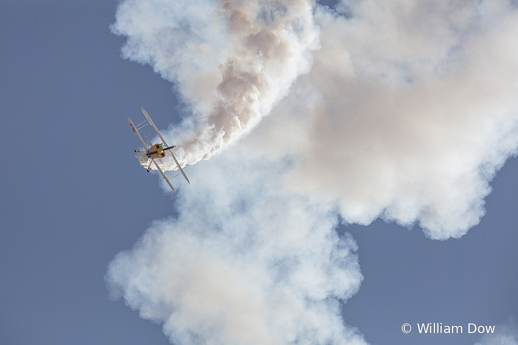 _I9A6933 - ID: 15787915 © William Dow