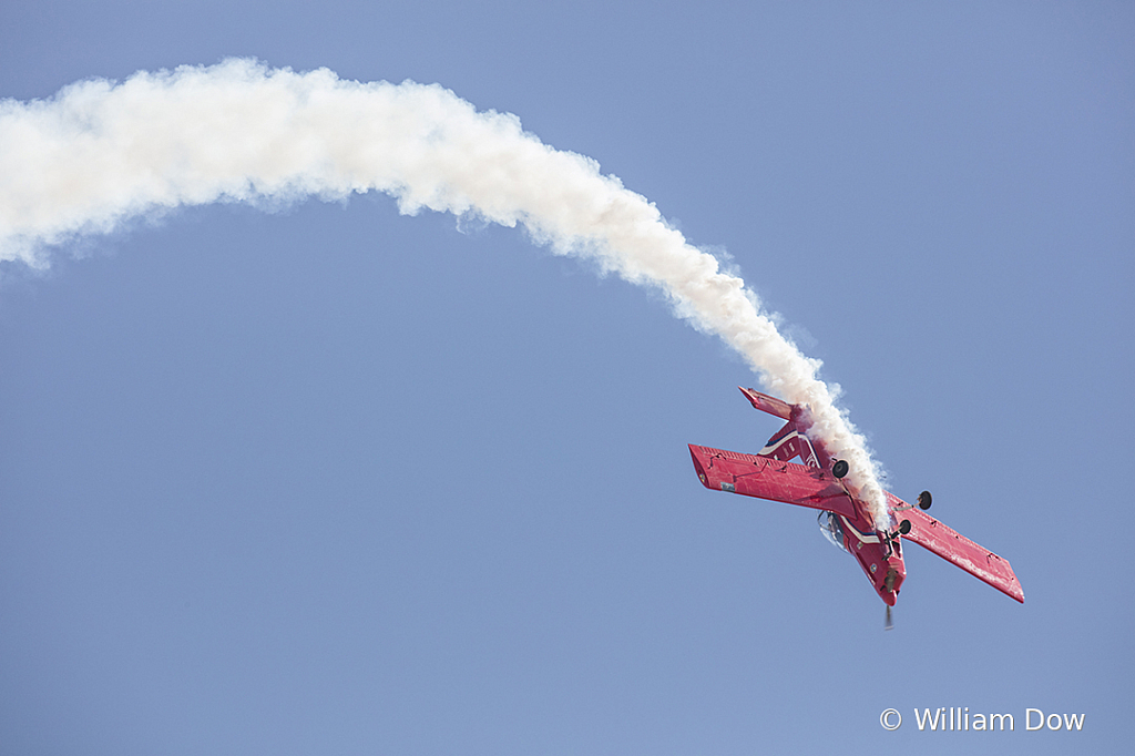 _I9A7157 - ID: 15787916 © William Dow