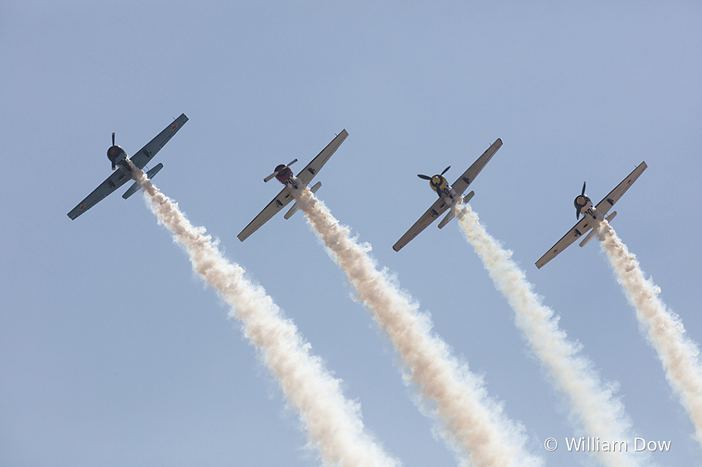 _I9A7462 - ID: 15787918 © William Dow