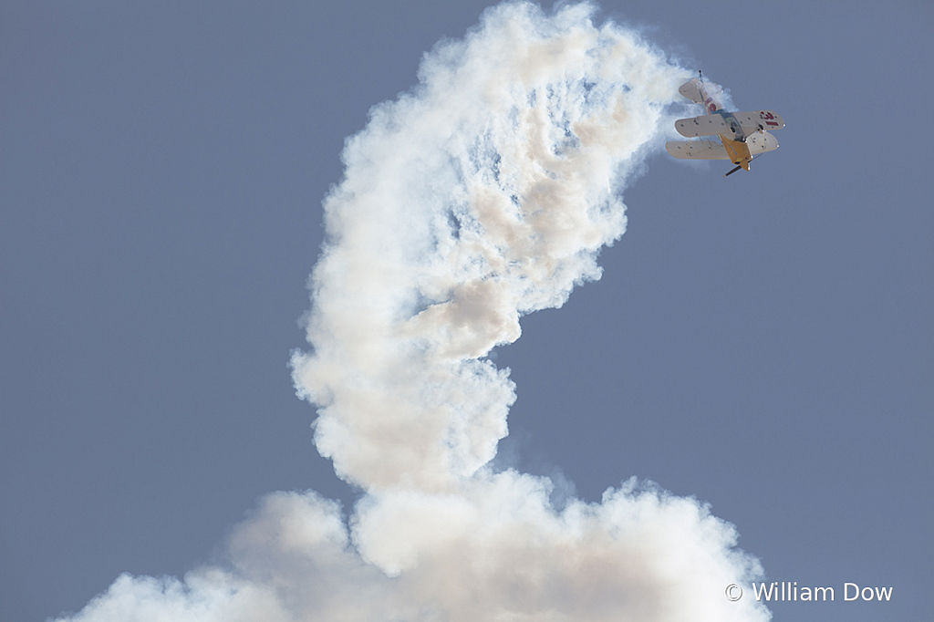 _I9A7712 - ID: 15787919 © William Dow