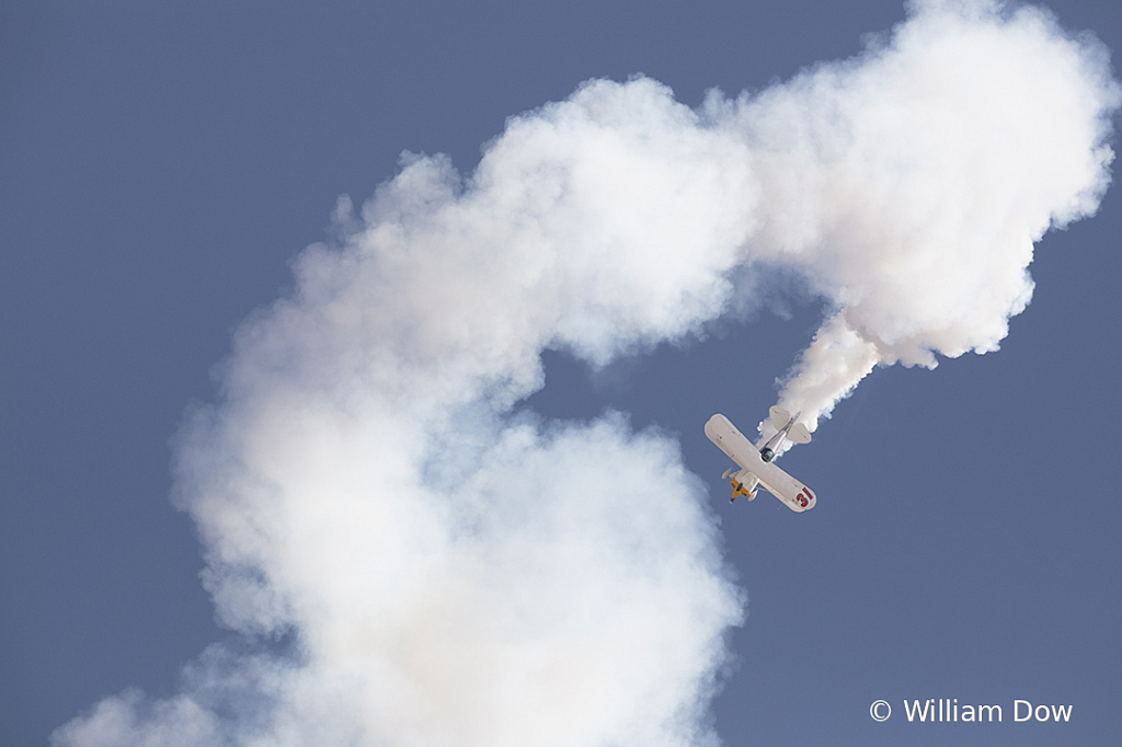 _I9A7737 - ID: 15787920 © William Dow