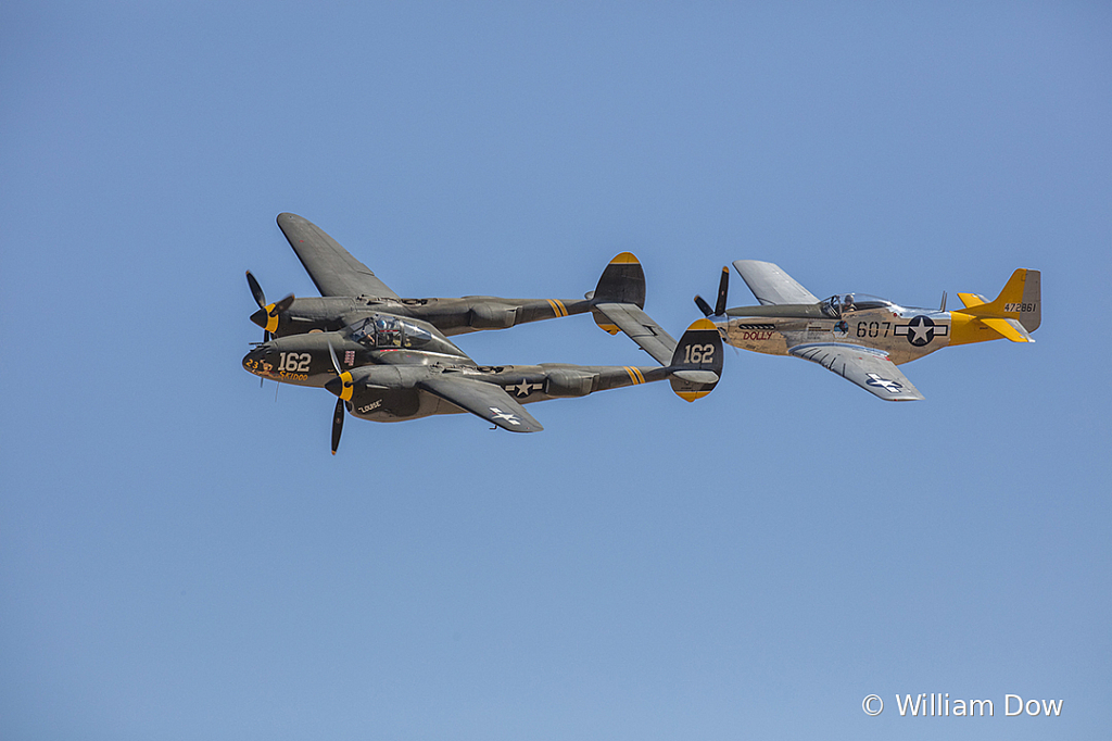 _I9A7998 - ID: 15787921 © William Dow
