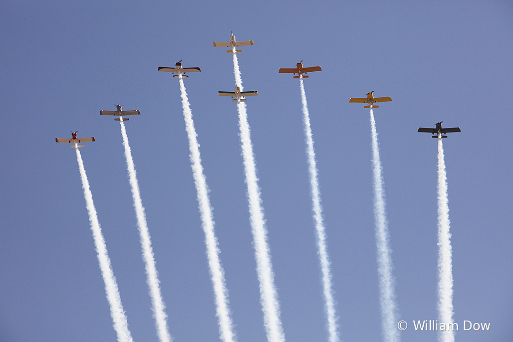 _W5A5378 - ID: 15787925 © William Dow