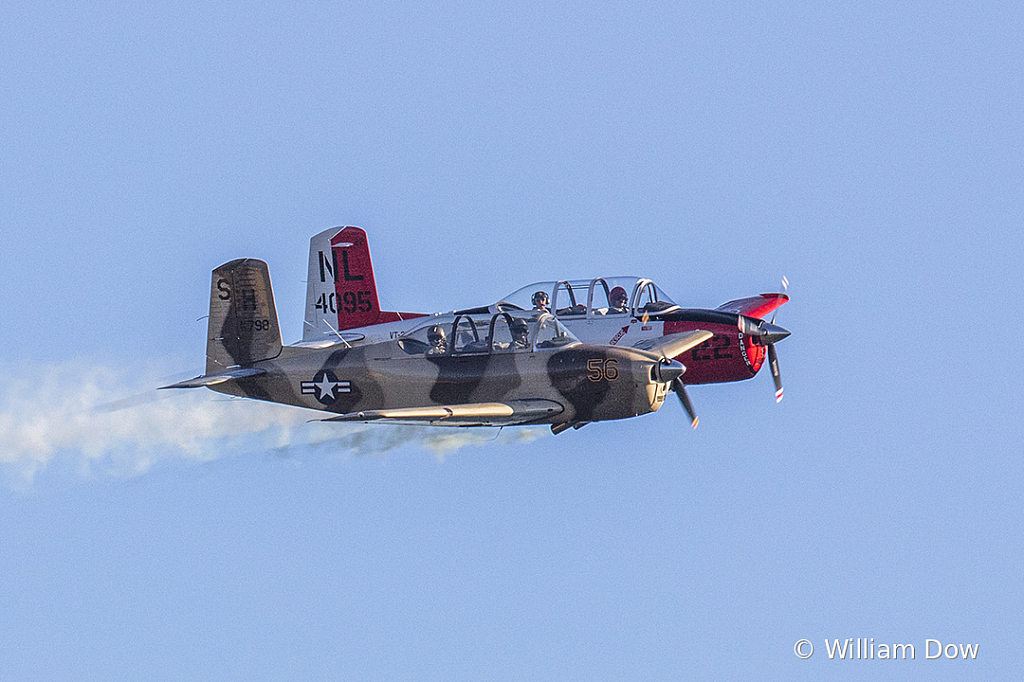 _W5A9366c1 - ID: 15787934 © William Dow