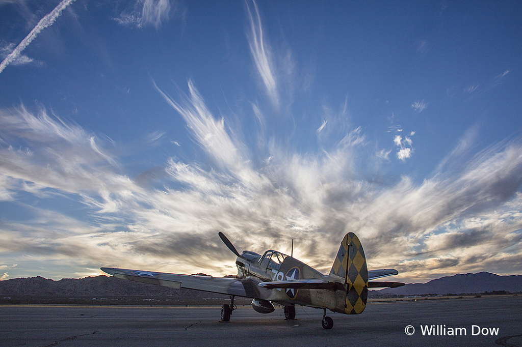 _I9A0754 - ID: 15787939 © William Dow