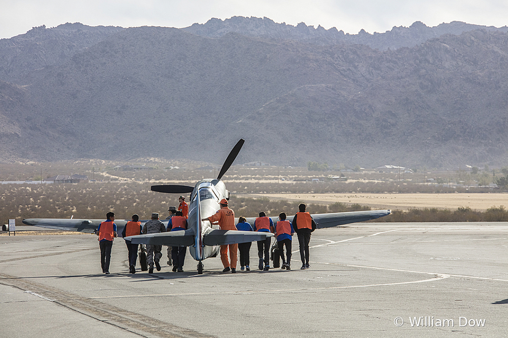 _I9A0776 - ID: 15787940 © William Dow