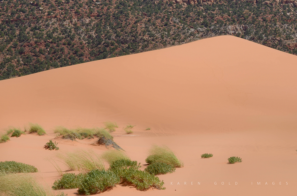 Coral Pink Sand Dunes