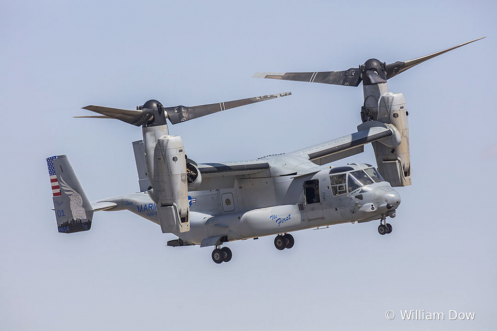 _W5A1529 - ID: 15787986 © William Dow