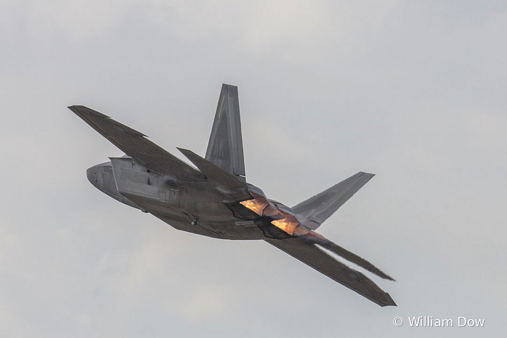 _W5A2452 - ID: 15787998 © William Dow