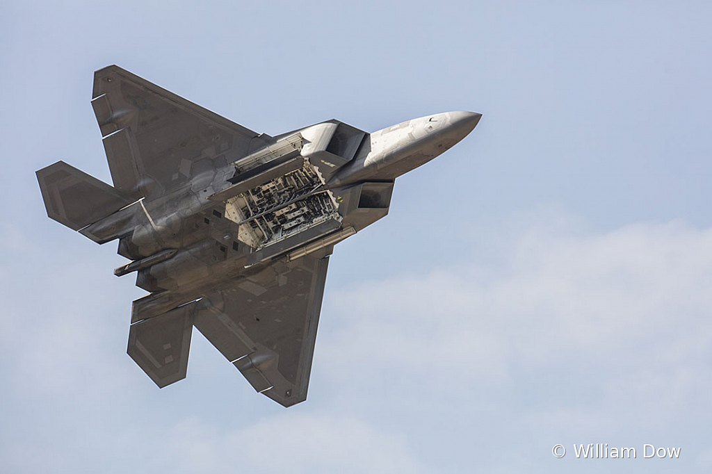_W5A2585 - ID: 15787999 © William Dow