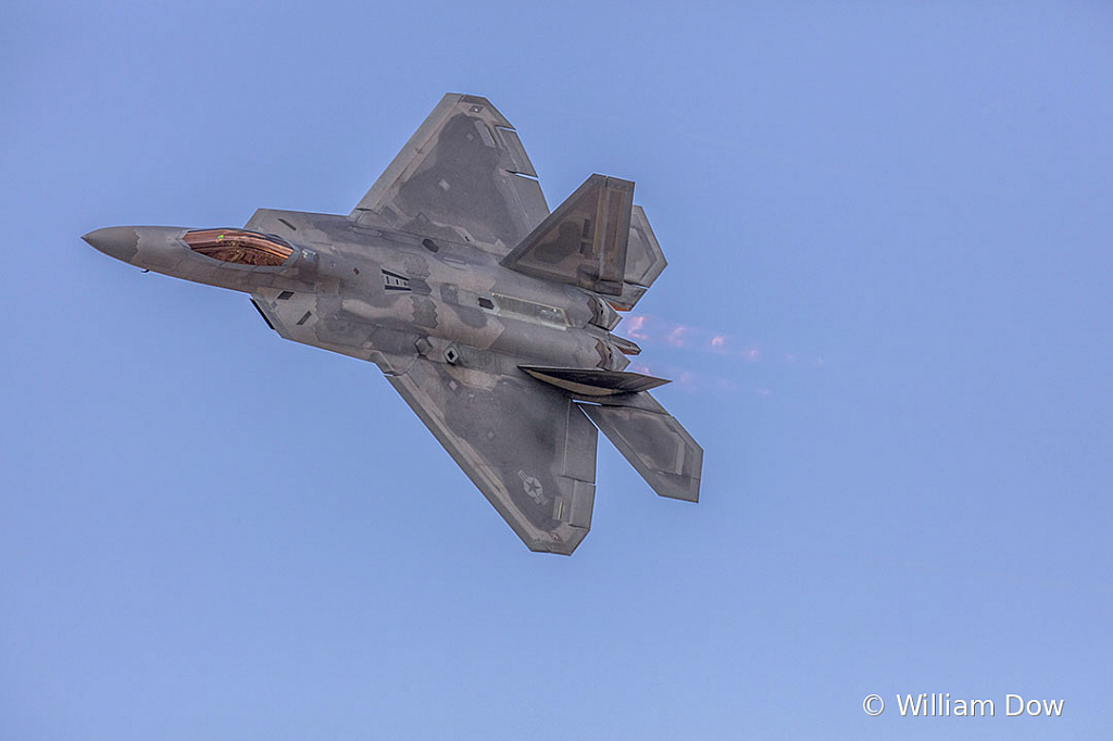_W5A2601 - ID: 15788000 © William Dow