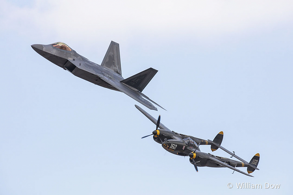 _W5A2775 - ID: 15788001 © William Dow