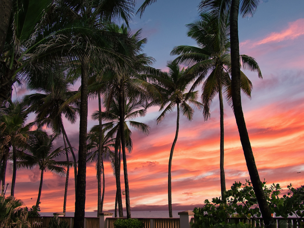 Evening in Puerto Rico