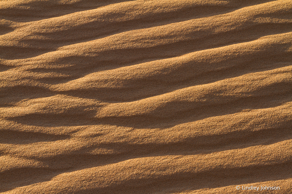 Ripples in the Sahara