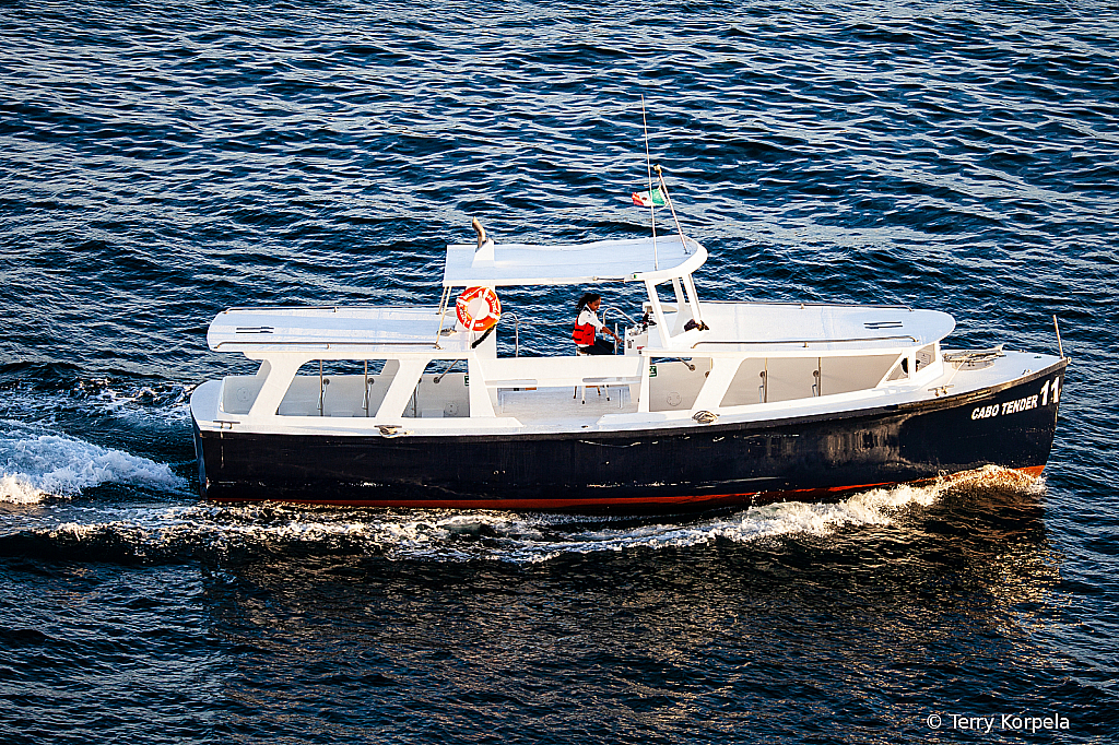 Cruise Tender in Cabo