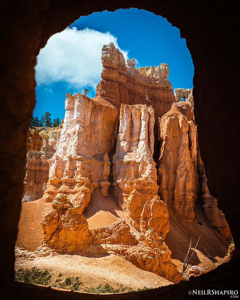 Framing Nature