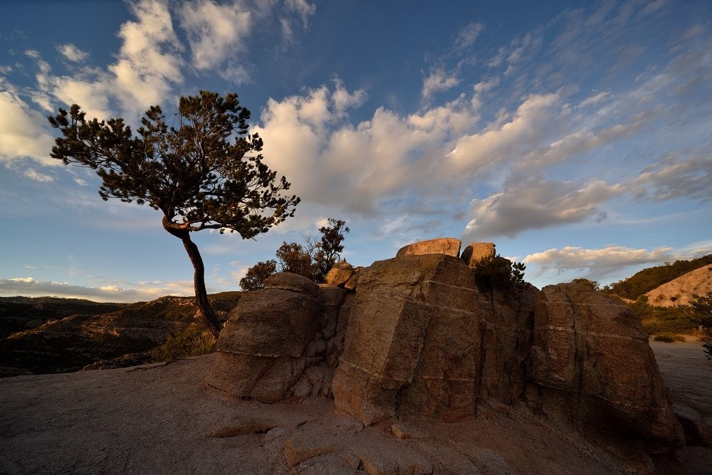 Windy Point on Mt. Lemmon