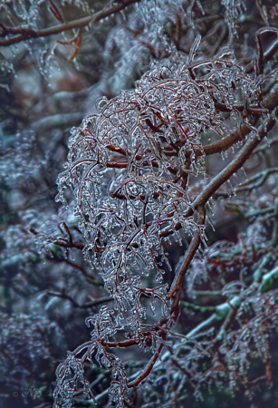 Freezing rain