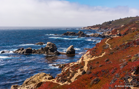 Coastal Trail - Big Sur