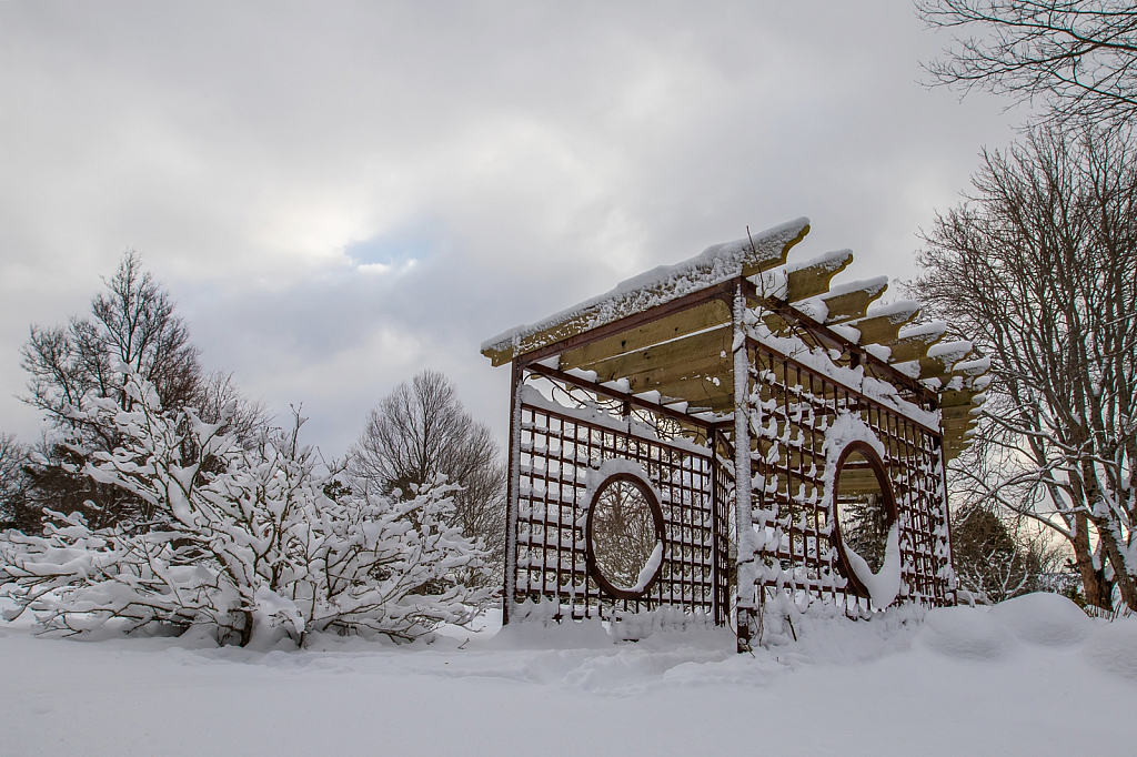 A fresh coat of Snow