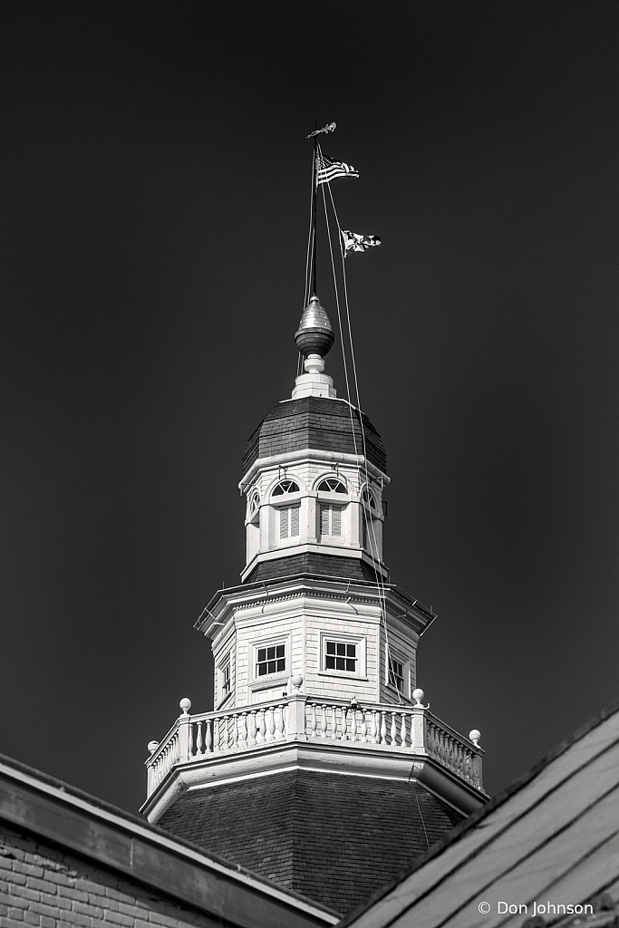 B&W Dome Maryland Capital 1-30-20 024