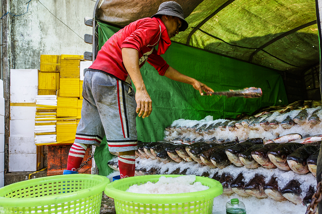 Fish Market Worker