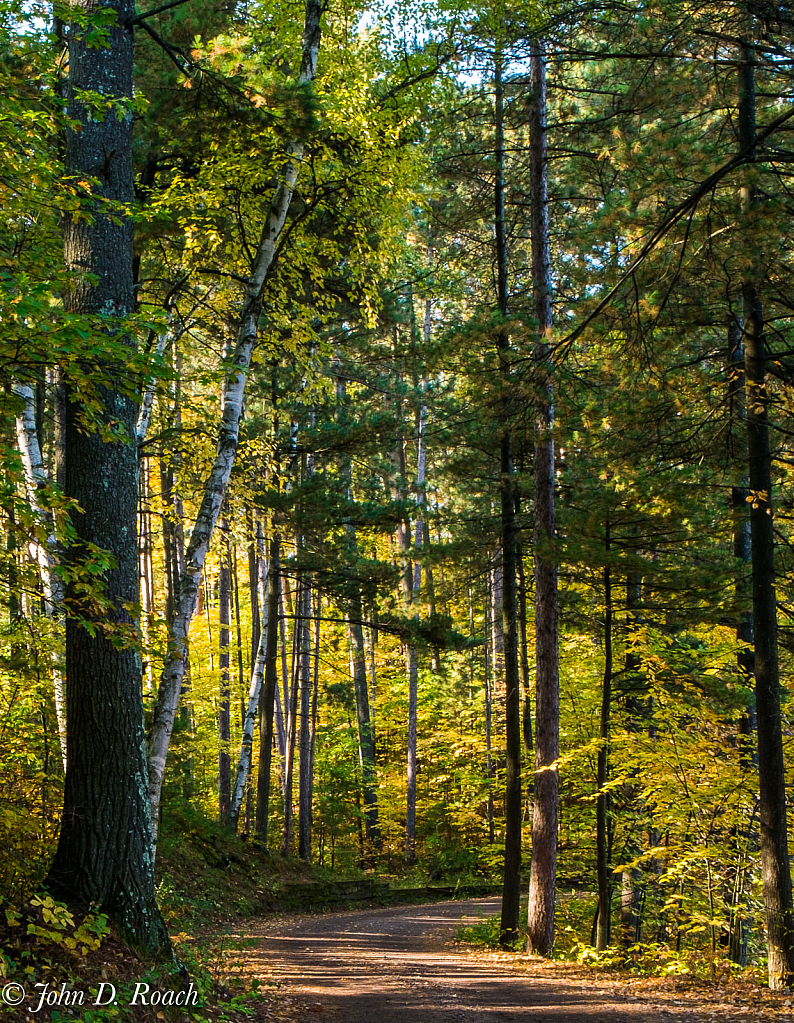 Path in the Woods - ID: 15790628 © John D. Roach
