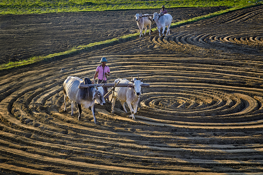 farmer