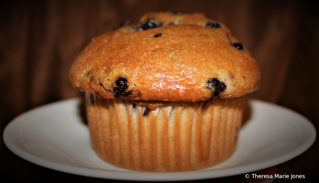 Blueberry Muffin - ID: 15790929 © Theresa Marie Jones
