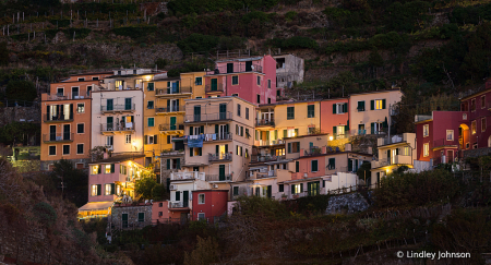 Manarola at Night