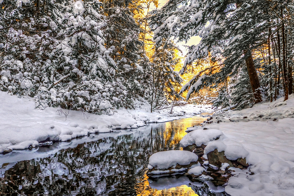 Winter in the Park