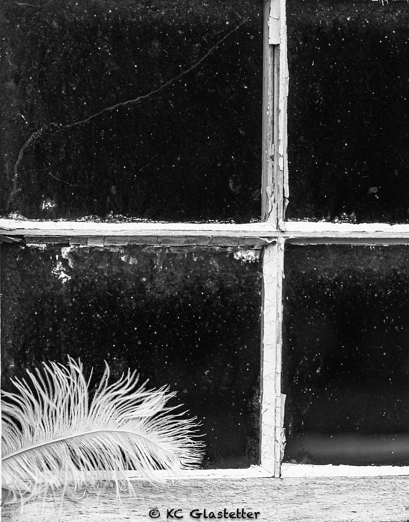 Feathery Window